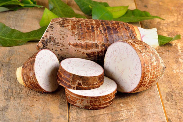 bí quyết chọn khoai môn ngon