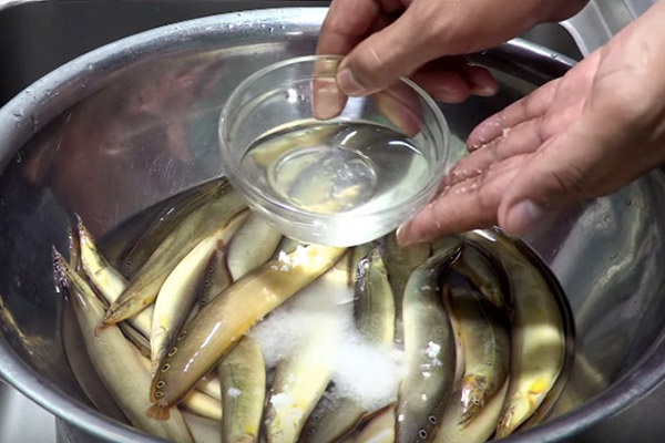 cá chạch đất kho nghệ