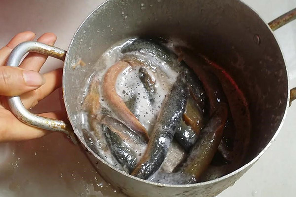 cách làm cá chạch kho nghệ