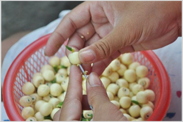 cách nấu cháo gà ác hạt sen cho bé