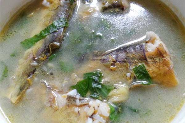 món ngon từ cá bò sông
