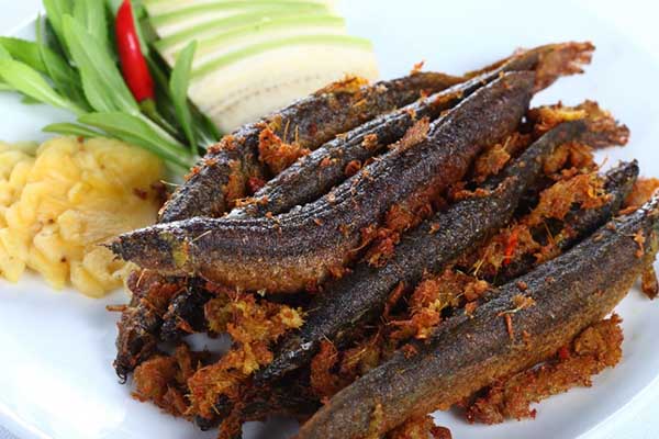 món ngon từ cá chạch